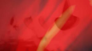 Photo of the artist Cut Wives