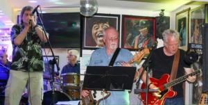 Photo of the artist Diving Duck